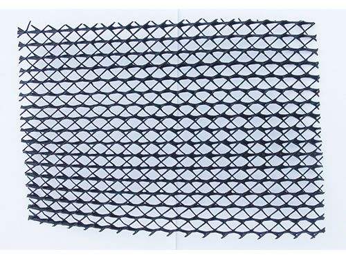 2m Widh Black Geonet Geotextile , Lightweight Geonet Drainage For Sports Field