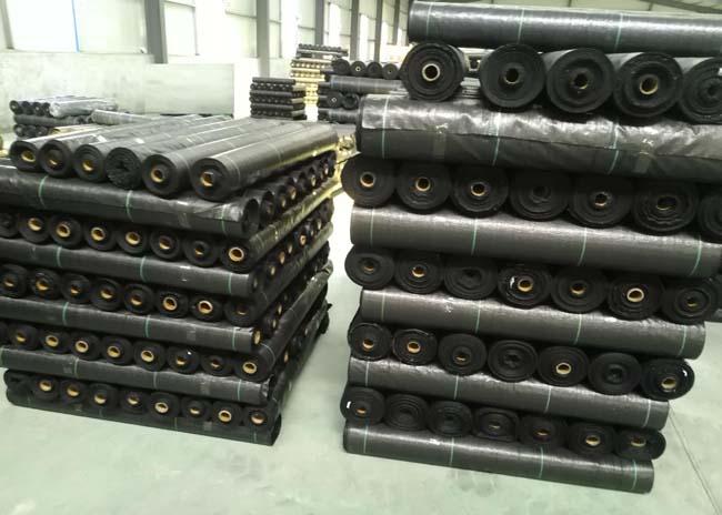 Black Geosynthetic Fabric , Agricultural Anti-grass Ground Cover Weed Mat For Watermelon