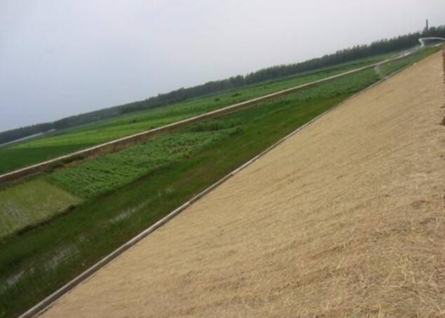 Biodegradable Erosion Control Blanket For Slope Protection Long Lifespan