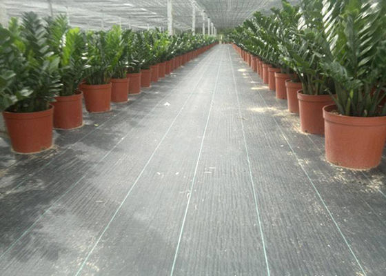China Black Color Geosynthetic Fabric PP 130g 1m Width Weed Barrier For Anti Grass supplier