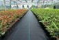 Anti-grass Cloth Weed Mat With Black Color PP Woven Geotextile supplier