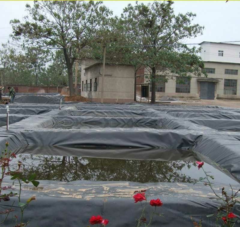 Latest company case about Fish pond project