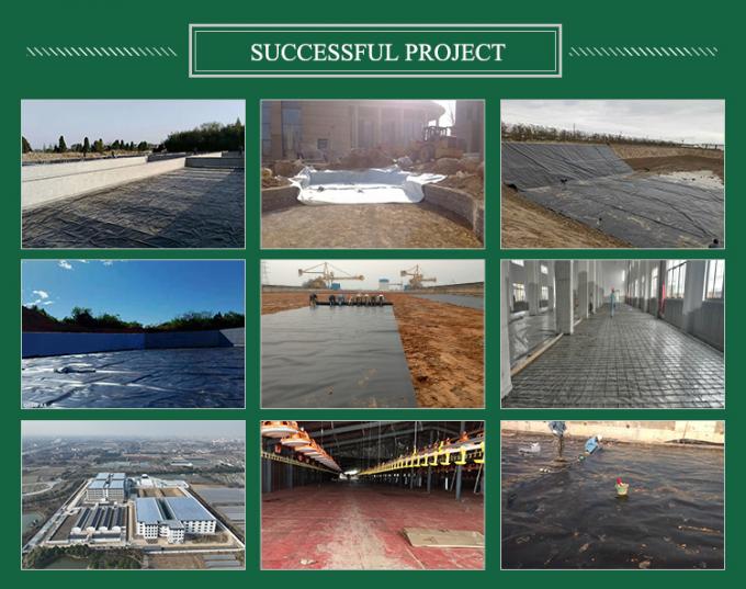 Antioxidant Reinforced HDPE Textured Rubber Roof Liner Bituminous