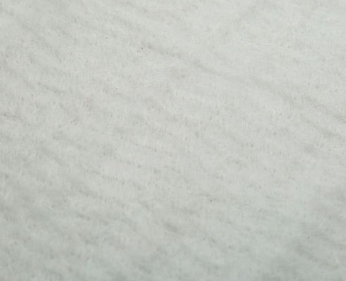 Nonwoven Filament Nonwoven Geotextile Geo Fabric Cloth 800 G/㎡