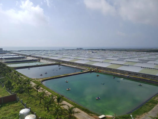 Fish Pond Impermeable Hdpe Geomembrane Liner Apply In Farm Construction