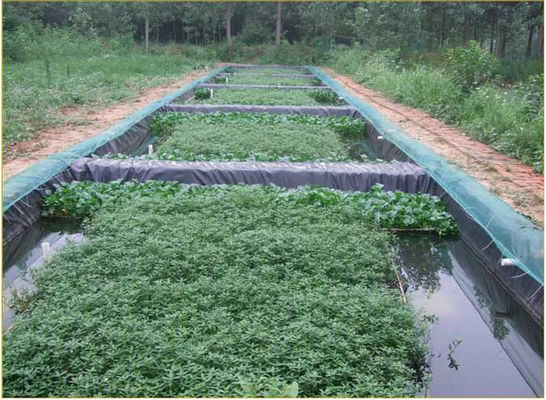 Fish Pond Impermeable Hdpe Geomembrane Liner Apply In Farm Construction